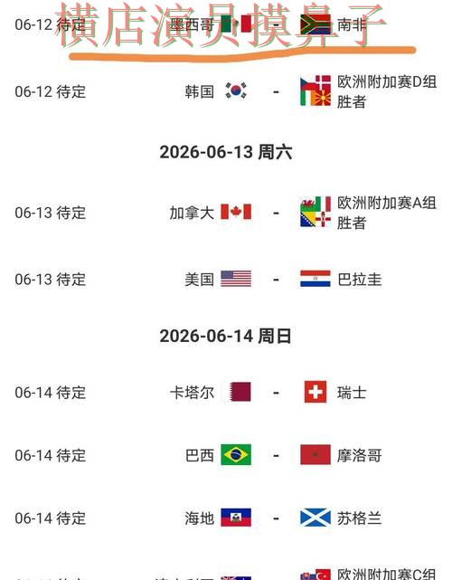 新手必看：世界杯竞猜网站用户反馈+直播详解 + World Cup 2026