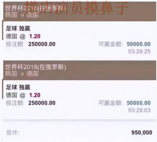 世界杯官方信息背景下的世界杯投注平台推荐盘点与平台排行直播解析 世界杯官方信息背景下的世界杯投注平台推荐盘点与平台排行直播解析